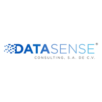 Data Sense Consulting logo, Data Sense Consulting contact details