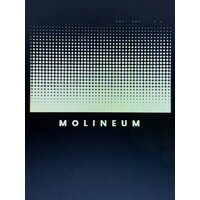 Molineum Management Group logo, Molineum Management Group contact details