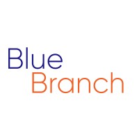 Blue Branch LTD logo, Blue Branch LTD contact details