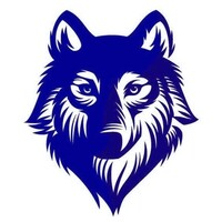 Totem Wolf Digital logo, Totem Wolf Digital contact details