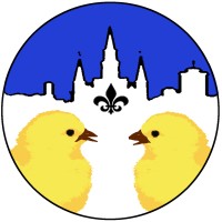 Two Chicks Walking Tours logo, Two Chicks Walking Tours contact details