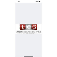 LCG Little Consulting Group logo, LCG Little Consulting Group contact details