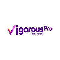 VigorousPro IT Solutions logo, VigorousPro IT Solutions contact details