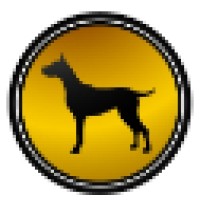 BlackDog Consulting Inc logo, BlackDog Consulting Inc contact details