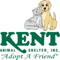 Kent Animal Shelter logo, Kent Animal Shelter contact details