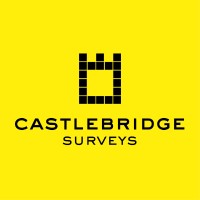 CASTLEBRIDGE SURVEYS LIMITED logo, CASTLEBRIDGE SURVEYS LIMITED contact details