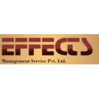 Effects Management Services Private Limited logo, Effects Management Services Private Limited contact details