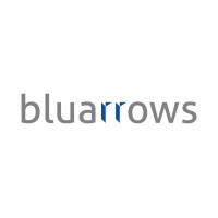 bluarrows logo, bluarrows contact details