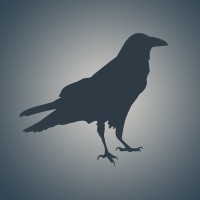 Stone Raven Consulting logo, Stone Raven Consulting contact details