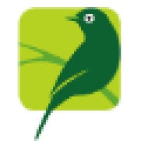 Silvereye Learning Resources logo, Silvereye Learning Resources contact details