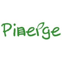 PINERGE PTE LTD logo, PINERGE PTE LTD contact details