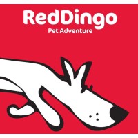 Red Dingo Sverige logo, Red Dingo Sverige contact details