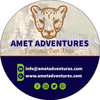 Amet adventures logo, Amet adventures contact details