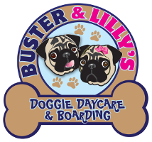 Buster & Lilly's Doggie Daycare logo, Buster & Lilly's Doggie Daycare contact details