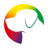 LABRADOR COLOR logo, LABRADOR COLOR contact details