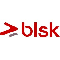 Blankskript Consultants logo, Blankskript Consultants contact details