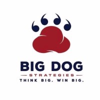 Big Dog Strategies logo, Big Dog Strategies contact details