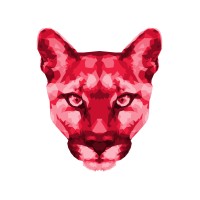 CougarCS - University of Houston logo, CougarCS - University of Houston contact details