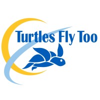 TURTLES FLY TOO logo, TURTLES FLY TOO contact details