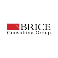 Brice Consulting Group logo, Brice Consulting Group contact details