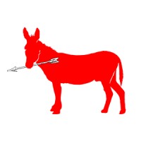 Red Donkey Studio, LLC logo, Red Donkey Studio, LLC contact details