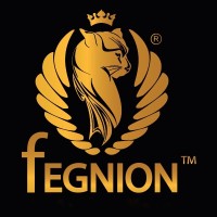 Fegnion Inc. logo, Fegnion Inc. contact details