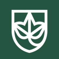 The Ivy School logo, The Ivy School contact details