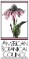 American Botanical Council logo, American Botanical Council contact details