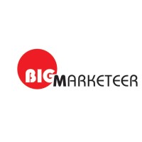 BigMarketeer Consulting Services logo, BigMarketeer Consulting Services contact details