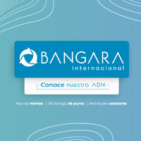 BANGARA S.A. logo, BANGARA S.A. contact details