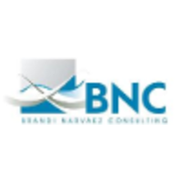 Brandi Narvaez Consulting, Inc logo, Brandi Narvaez Consulting, Inc contact details