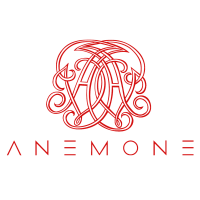 Anemone Studio logo, Anemone Studio contact details