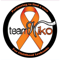 Team Niko Inc logo, Team Niko Inc contact details