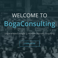 Boga Consulting logo, Boga Consulting contact details