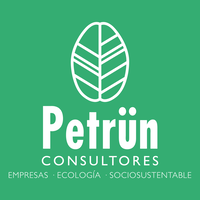 Petrün Consultores logo, Petrün Consultores contact details