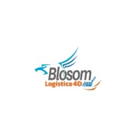 Blosom Mail de México logo, Blosom Mail de México contact details