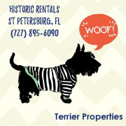 Terrier Properties logo, Terrier Properties contact details