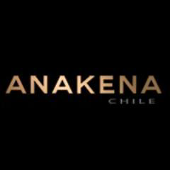 Viña Anakena logo, Viña Anakena contact details