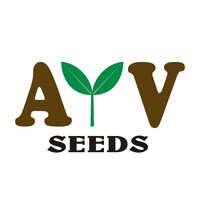 AyV Seeds logo, AyV Seeds contact details