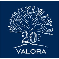 Valora Consultores logo, Valora Consultores contact details