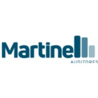 Martinelli Auditores logo, Martinelli Auditores contact details