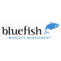 Bluefish Wireless logo, Bluefish Wireless contact details