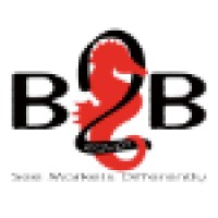 B2B Egypt logo, B2B Egypt contact details