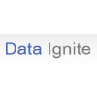 Data Ignite LLC logo, Data Ignite LLC contact details