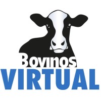 Bovinosvirtual logo, Bovinosvirtual contact details