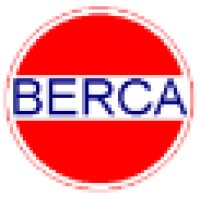 Berca Global Access logo, Berca Global Access contact details