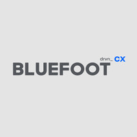 BLUEFOOT Digital Business Agency logo, BLUEFOOT Digital Business Agency contact details