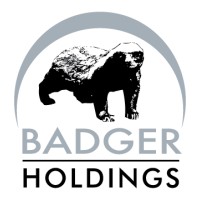 BADGER HOLDINGS LIMITED logo, BADGER HOLDINGS LIMITED contact details