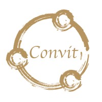 Convit Ticino GmbH logo, Convit Ticino GmbH contact details