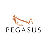 Pegasus Consultancy & Education Services logo, Pegasus Consultancy & Education Services contact details